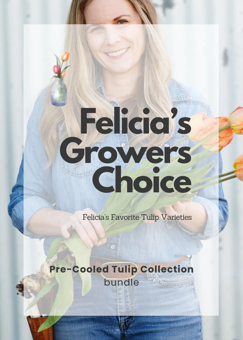 Pre-Cooled Tulip Bulbs Felicia's Grower's Choice Collection