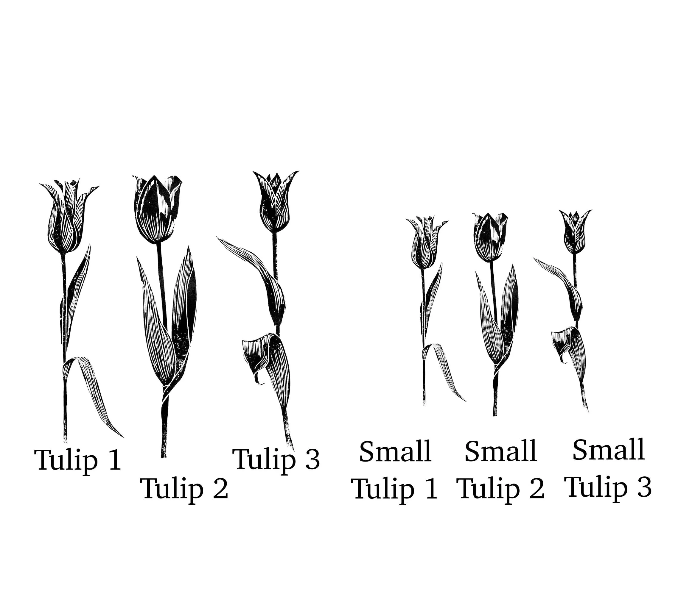 Tulip Rubber Stamp, Flower Stamps, Card Making Rubber Stamps